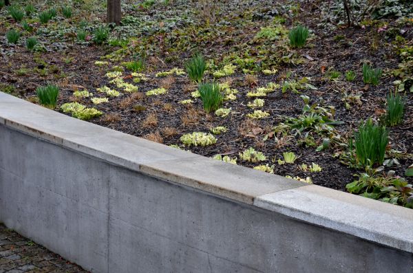 Cost of Concrete Wall Construction in Tooele