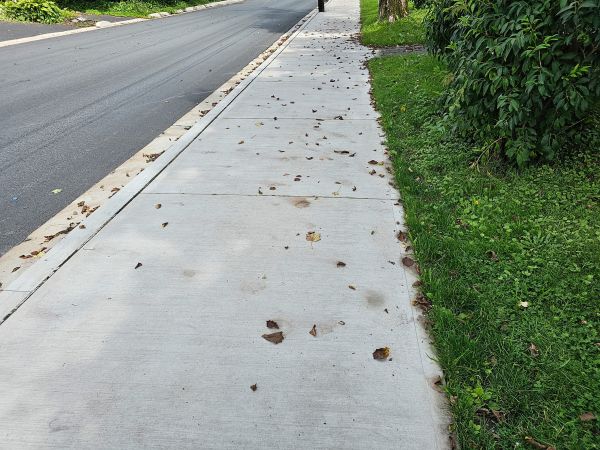 Cost of Sidewalk Renovation in Tooele
