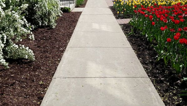 Cost of Cement Sidewalk Installation in Tooele